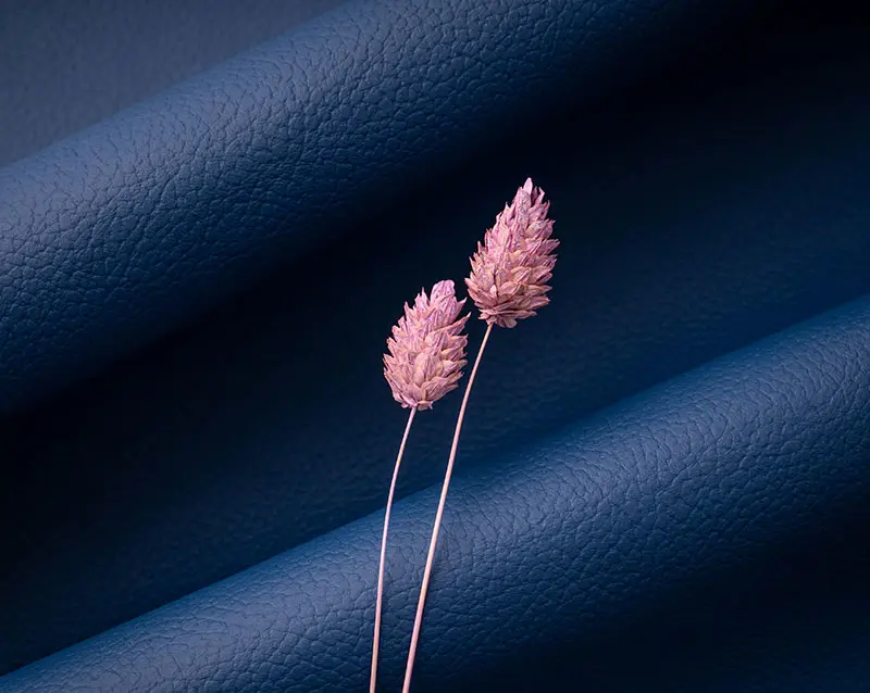 BioPRO® bio materials supporting sustainable commercial construction